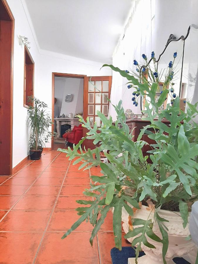 Casa Da Avo Teresa Villa Vale de Colmeias Exterior photo